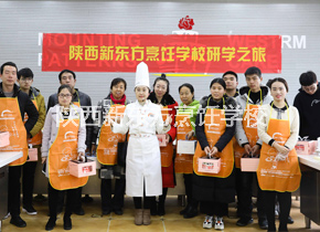 ������ѧ֮��4